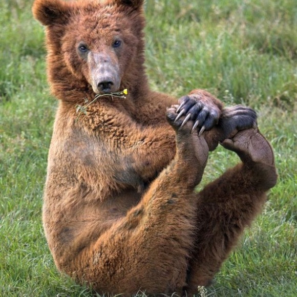 Meet your Posher, Haley - Picture 2 of 2